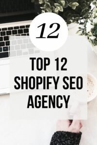 TOP 12 SHOPIFY SEO AGENCY